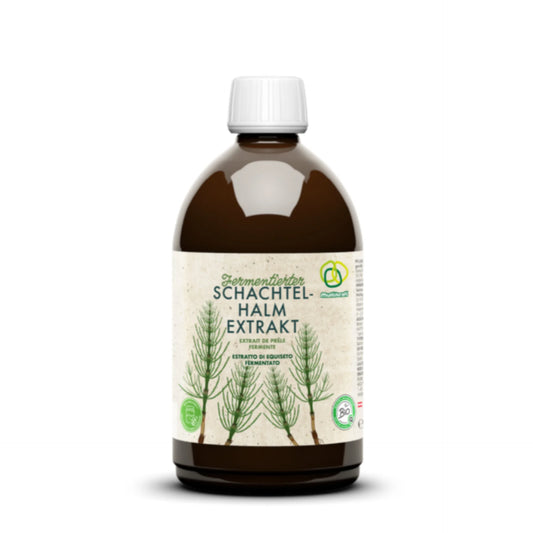Multikraft Fermentierter Schachtelhalmextrakt 0,5L Flasche