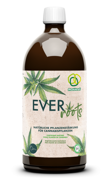 Multikraft Everroots 1L Flasche