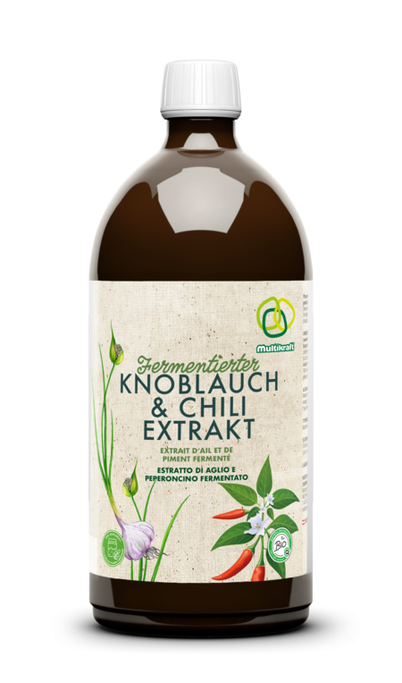 Multikraft Fermentierter Knoblauch- und Chiliextrakt 1L Flasche